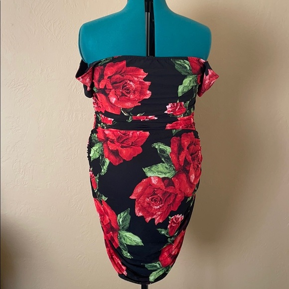 La Rosita Mini Dress - Picture 13 of 15